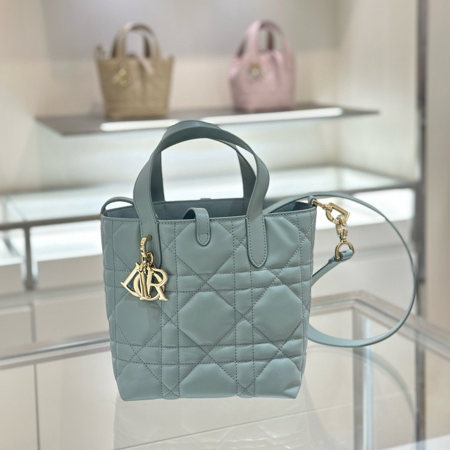 Dior Toujours Mini Bag