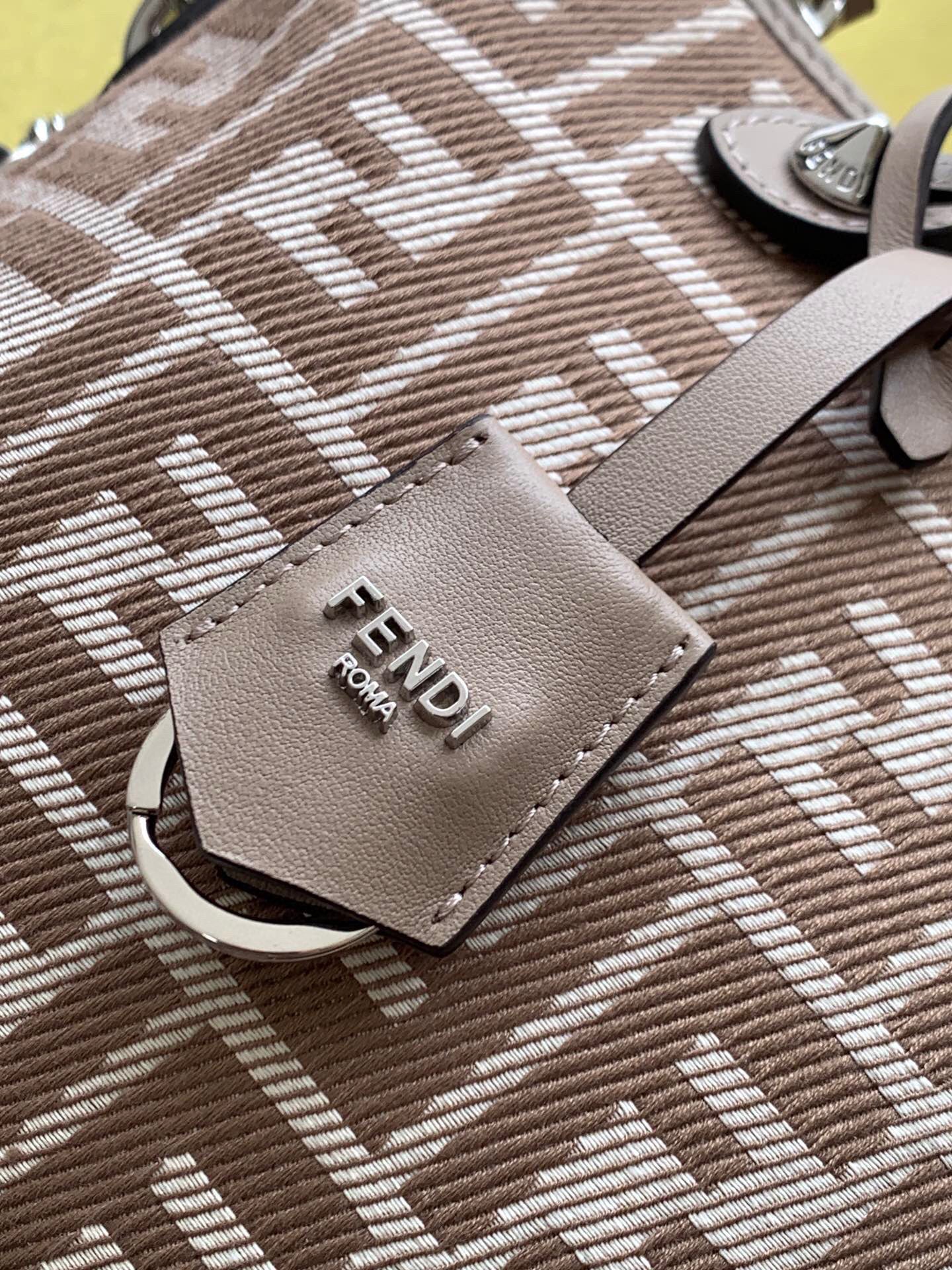 Fendi Sling bag (Medium)