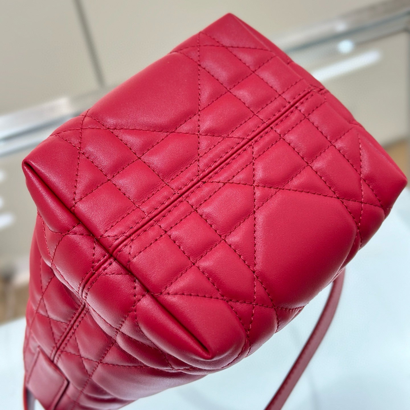 Dior Toujours Mini Bag