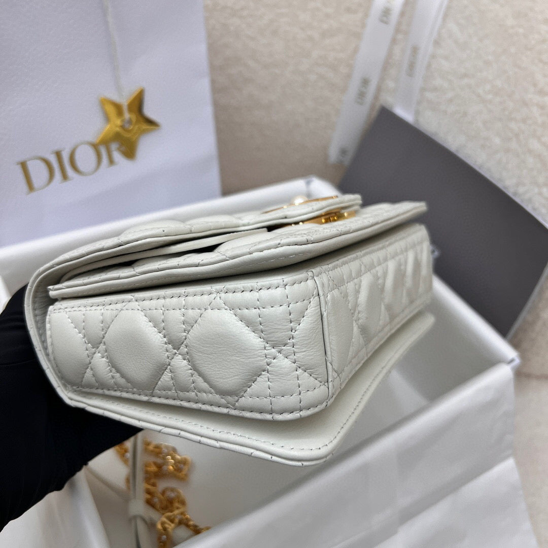 Dior Mini Jolie