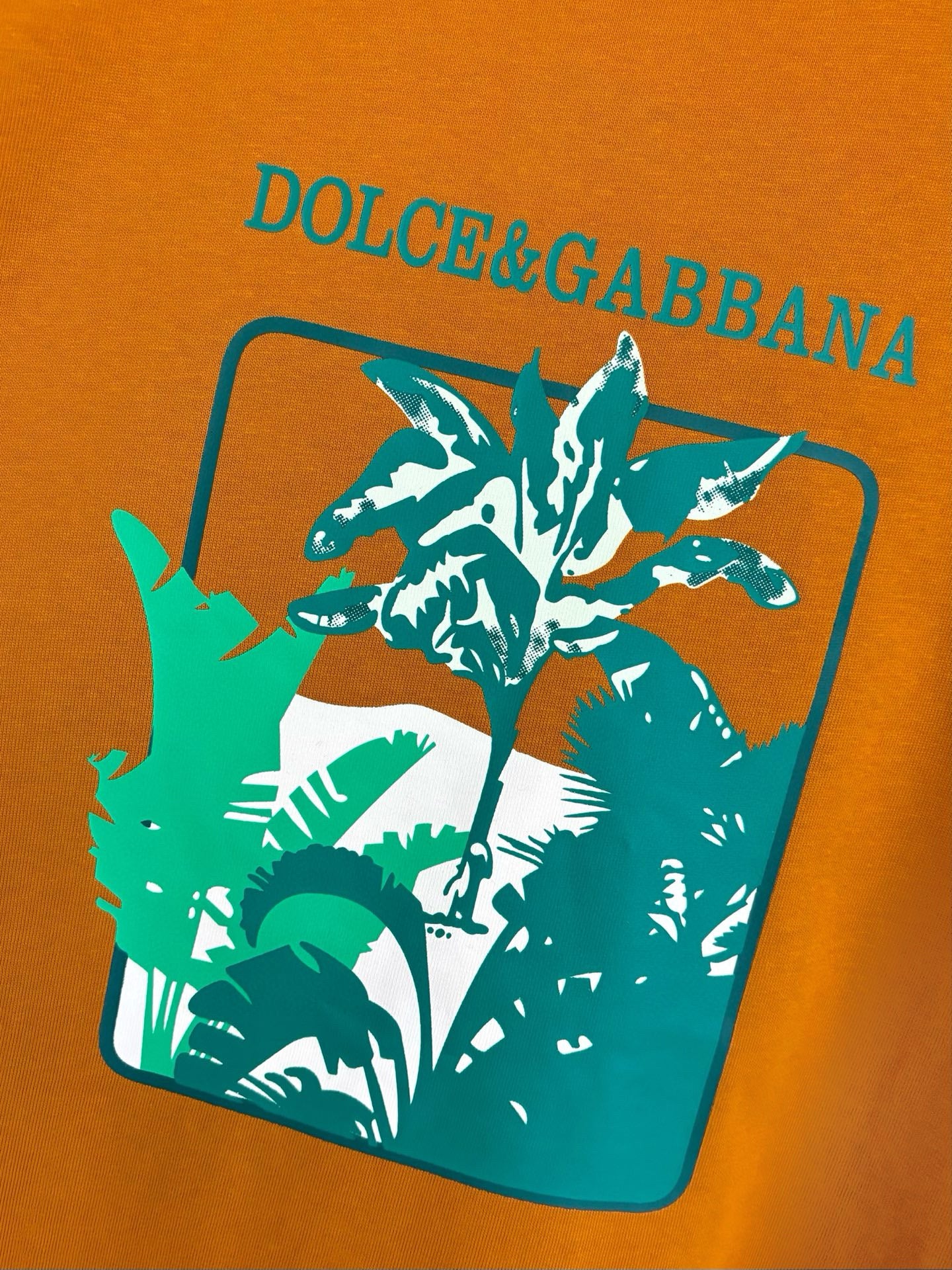 Dolce & Gabbana T-Shirt