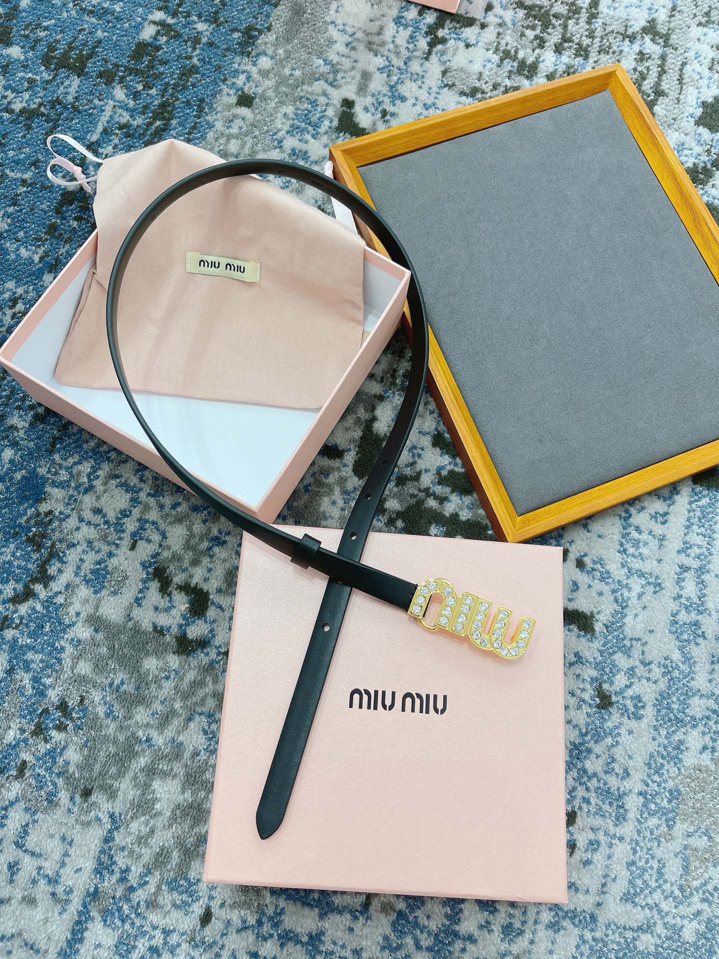 Miu Miu Belt
