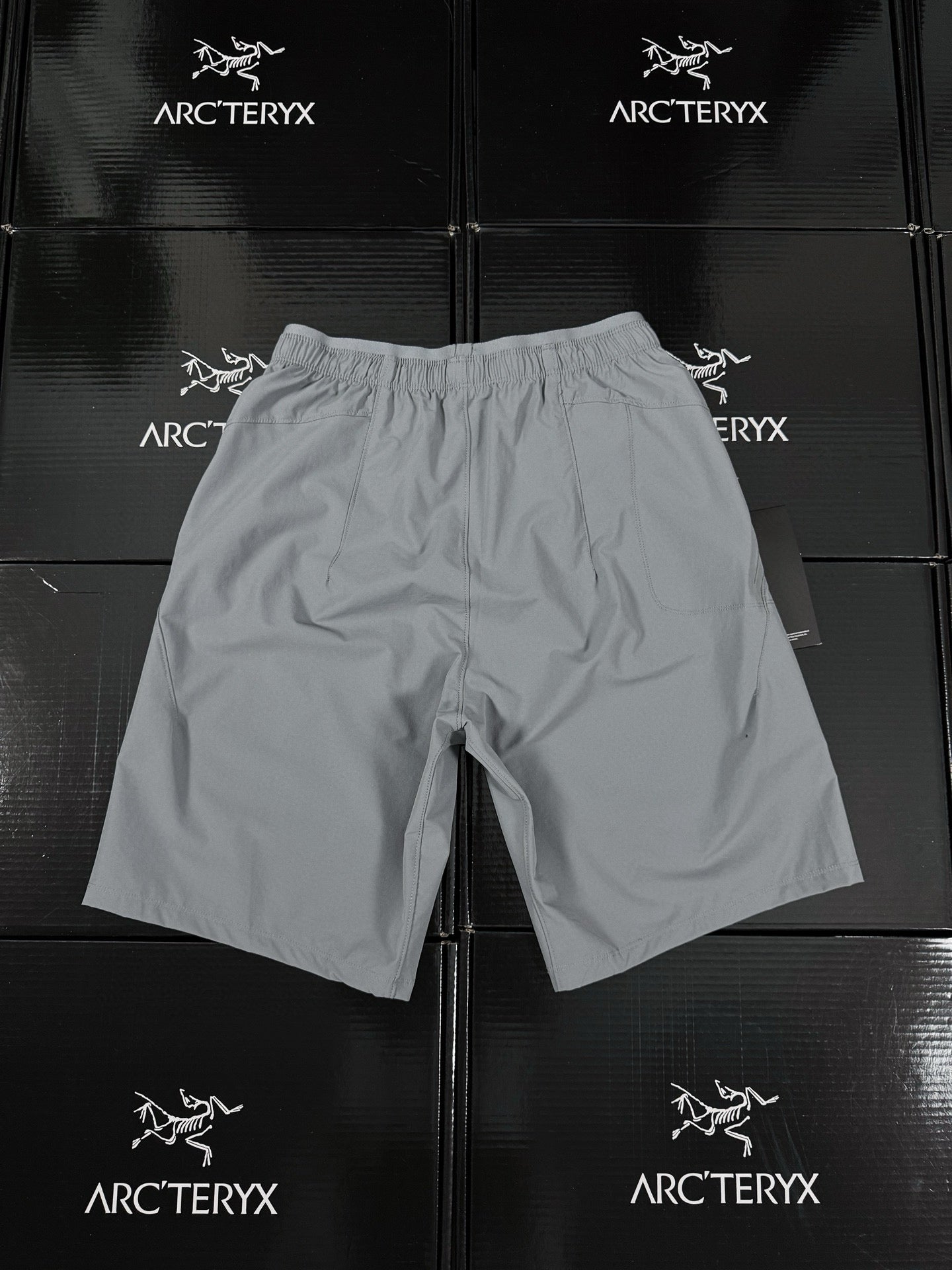 Arcteryx Short