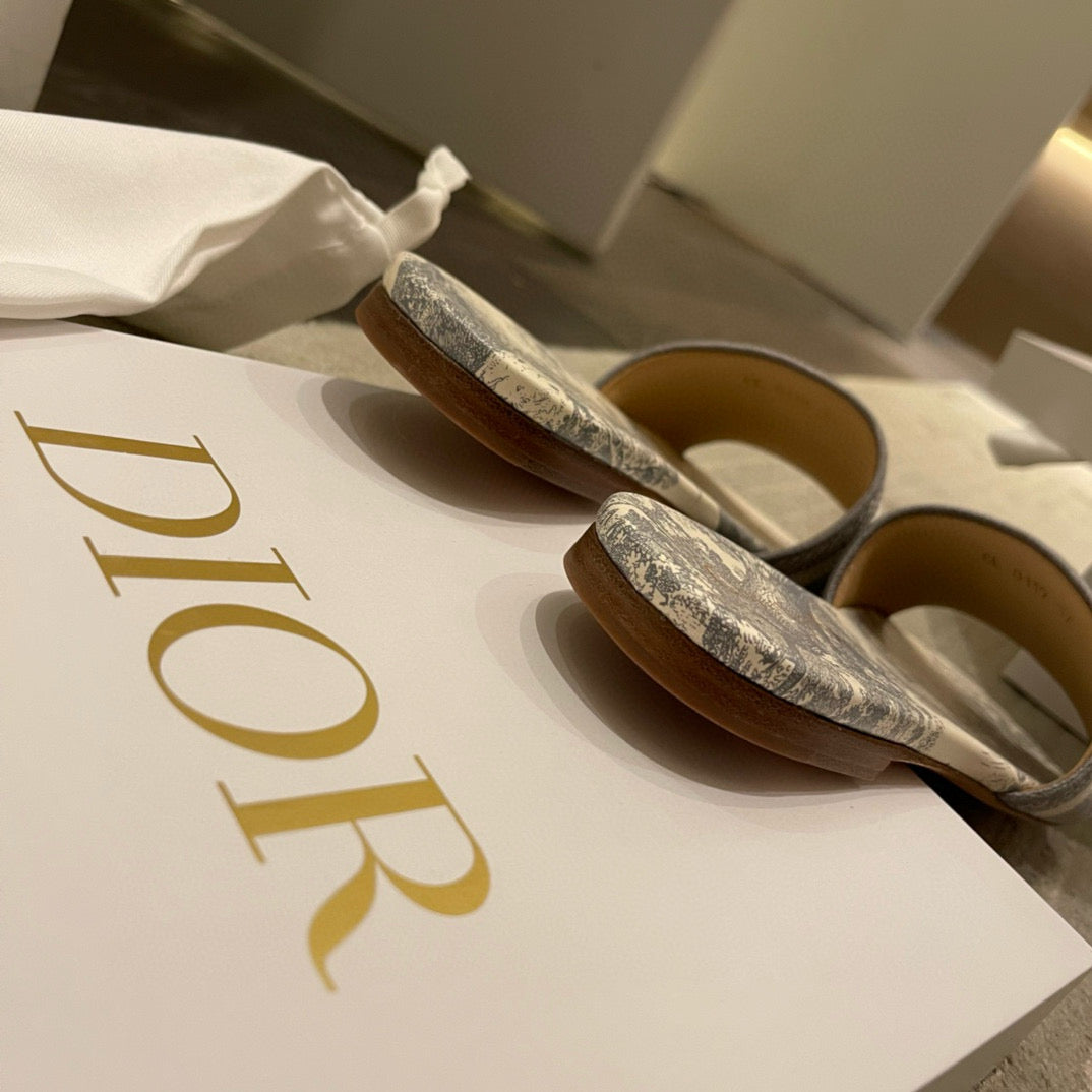 Dior Slides