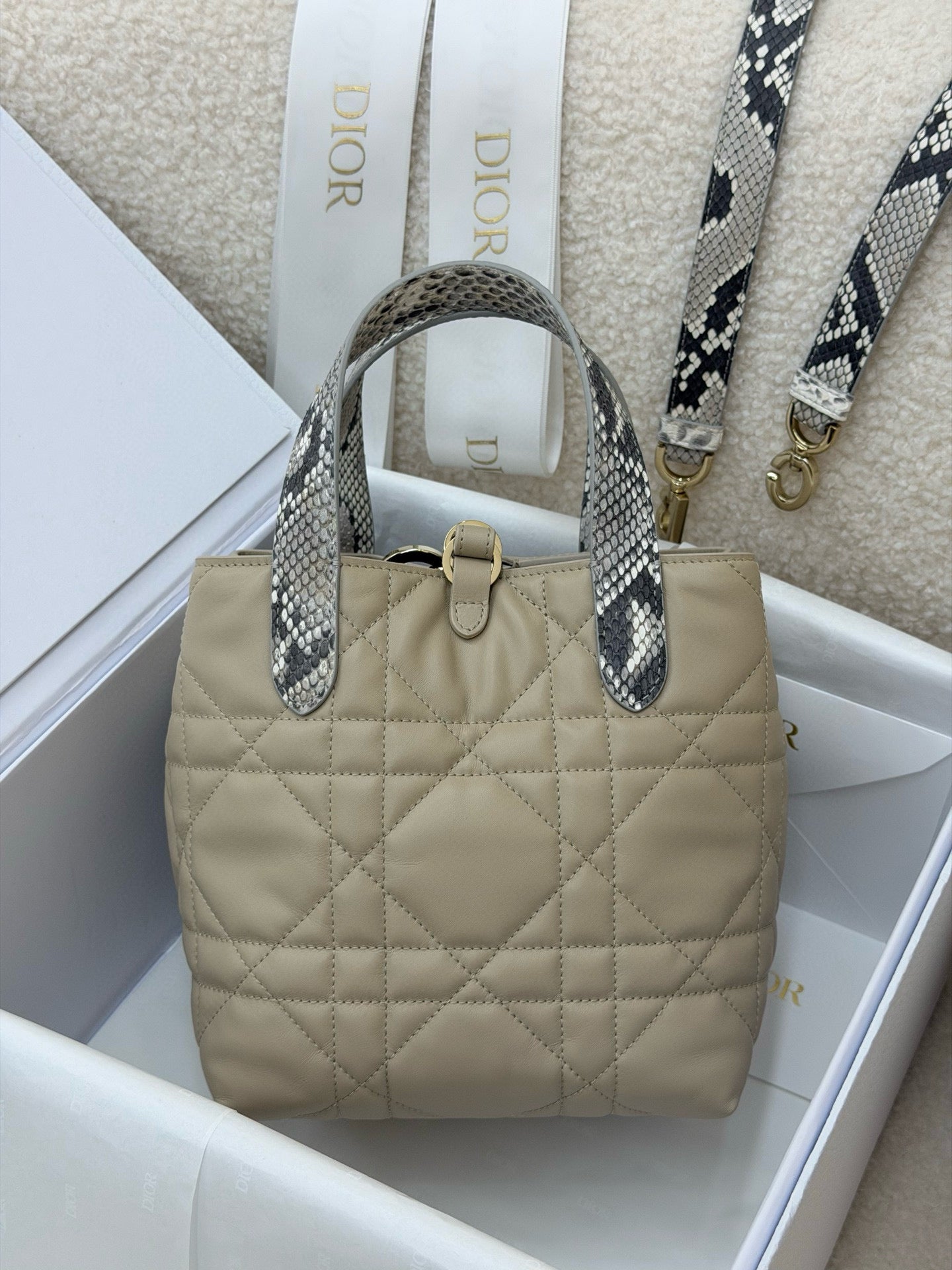 Dior Toujours Bag