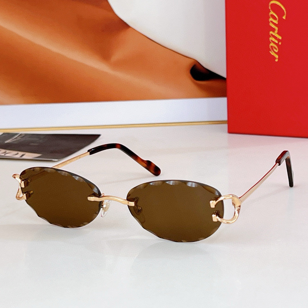 Cartier Sunglasses