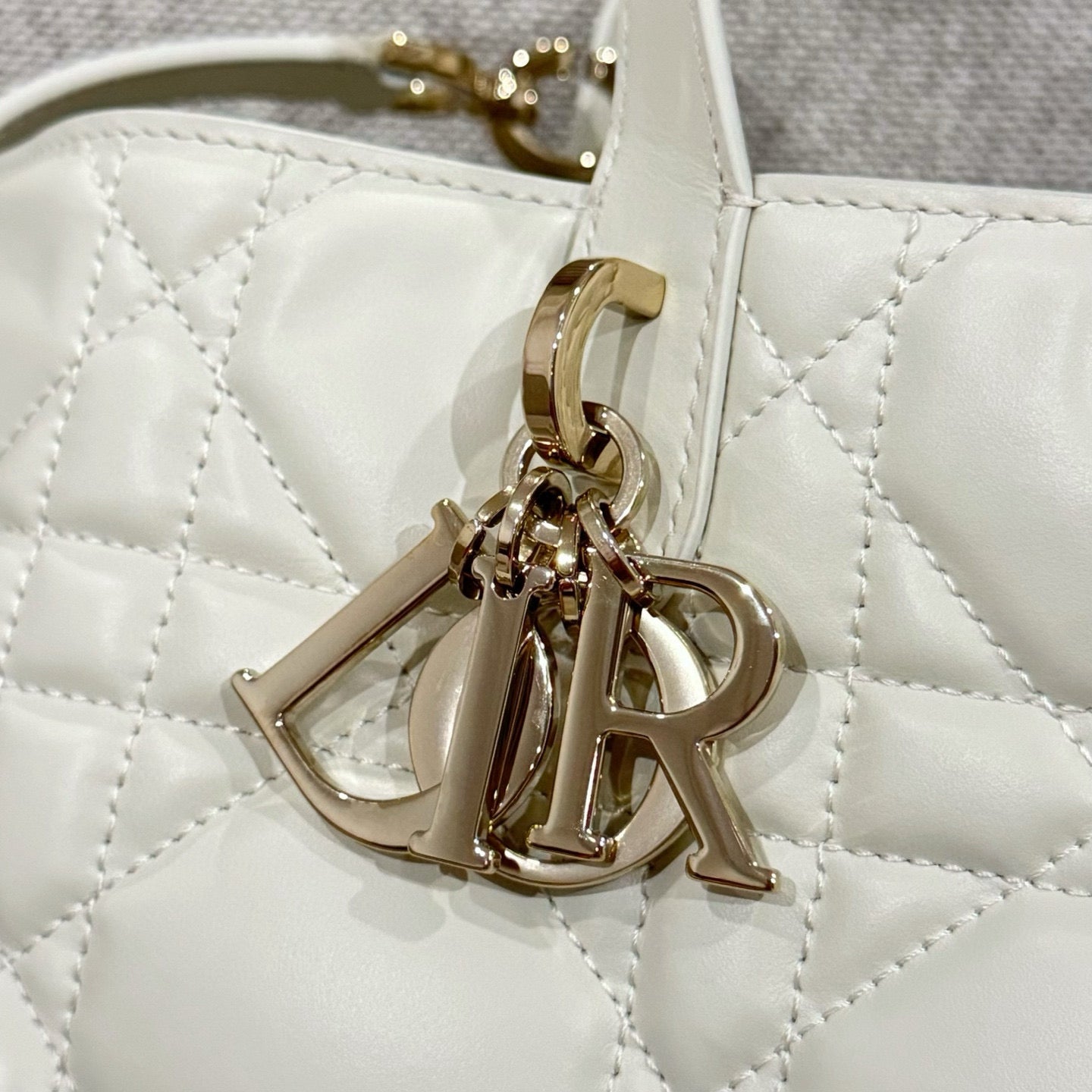 Dior Toujours Bag