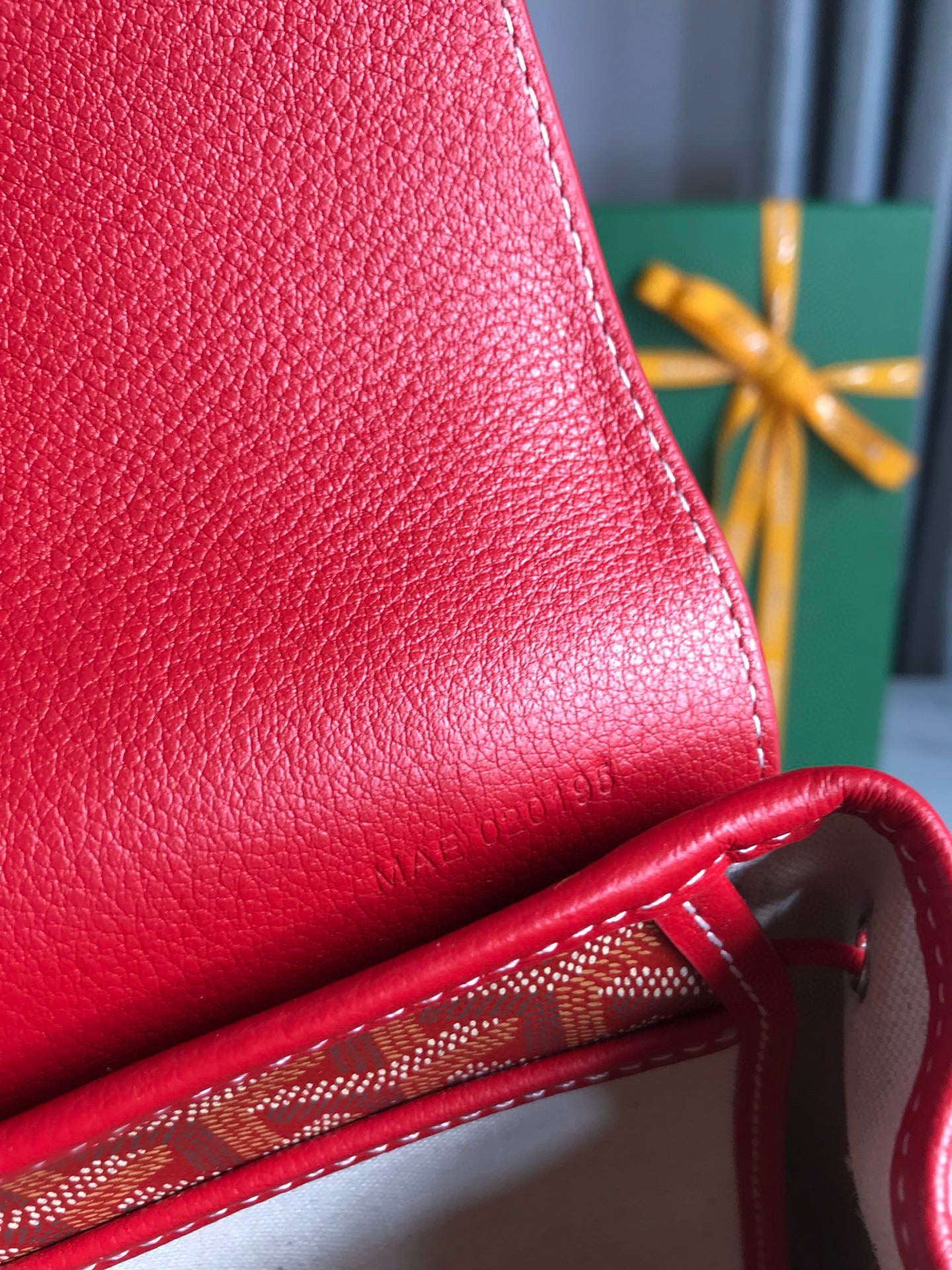 Goyard Mini Alpin Backpack