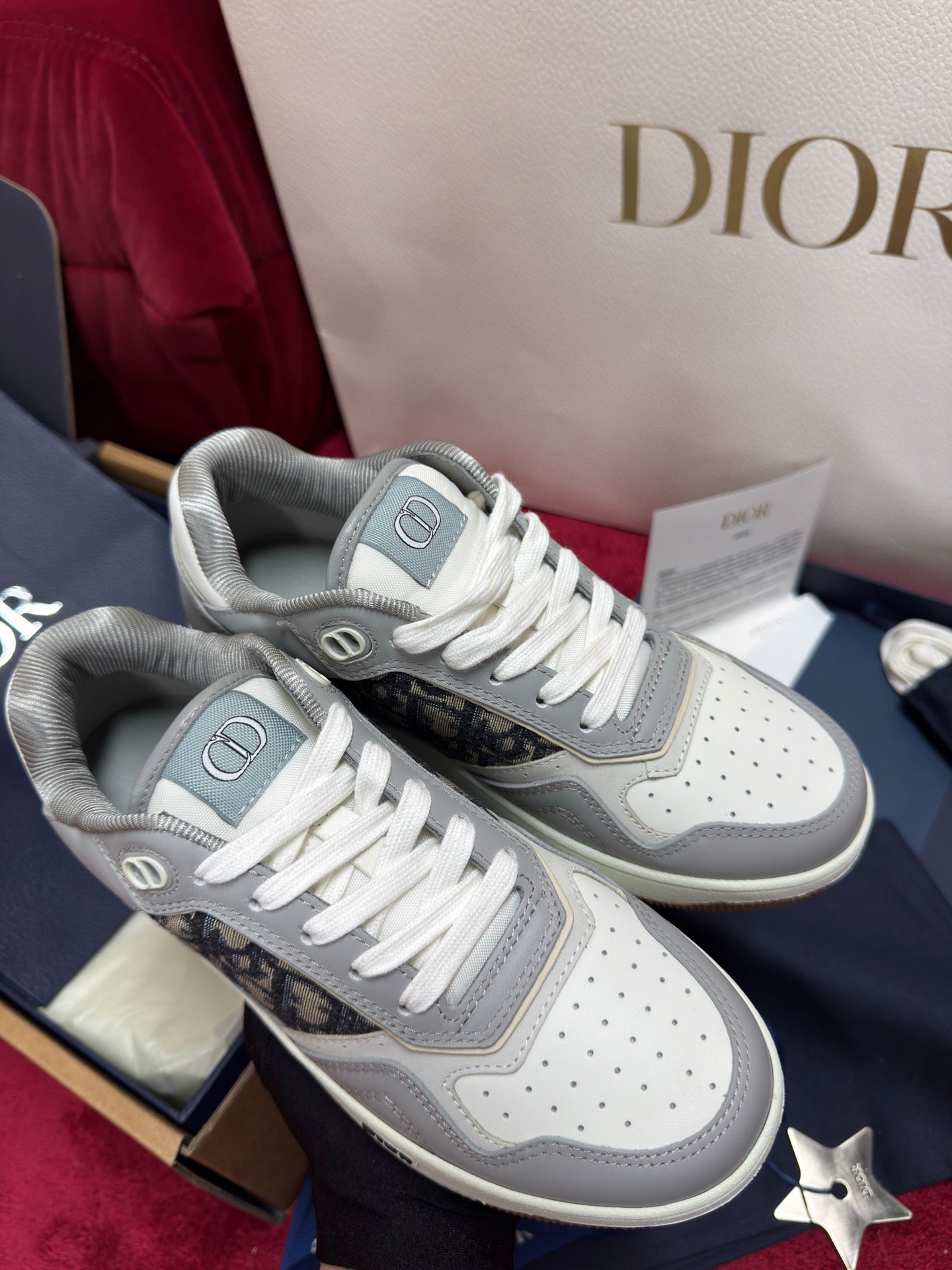 Dior Sneaker
