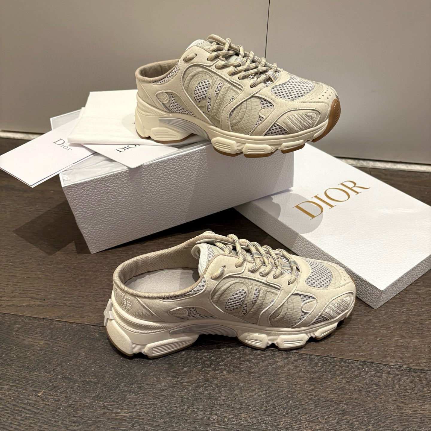 Dior Sneakers