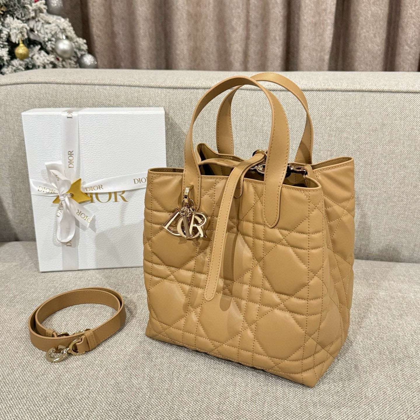 Dior Toujours Bag