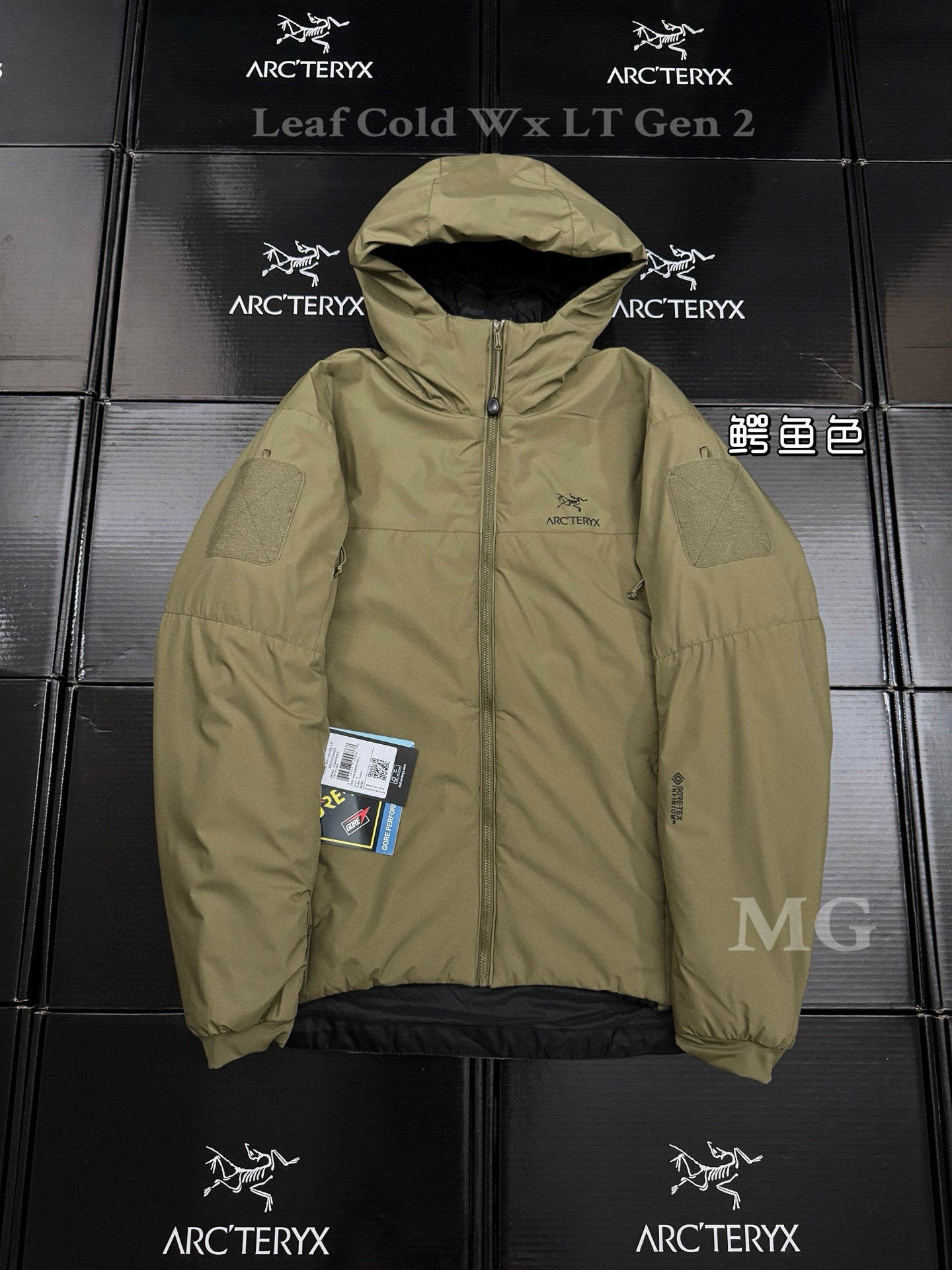 Arcteryx Jacket