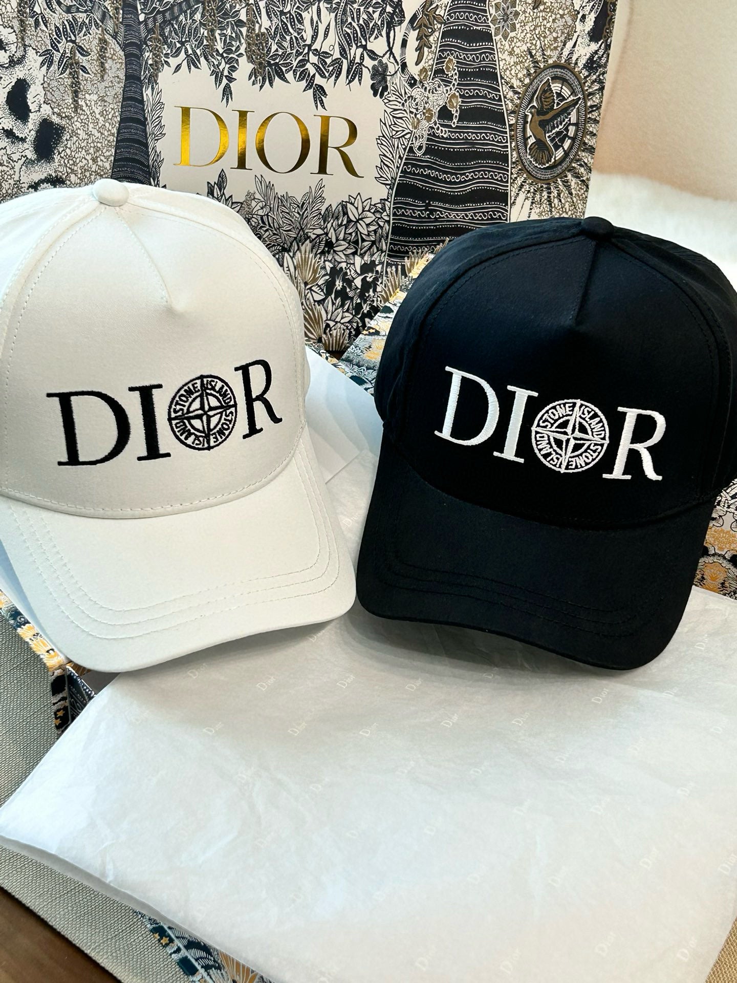 Dior Cap