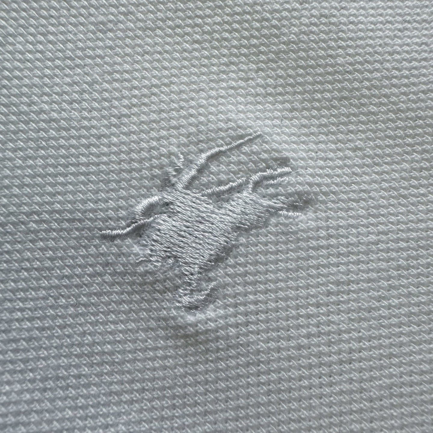 BBR Polo