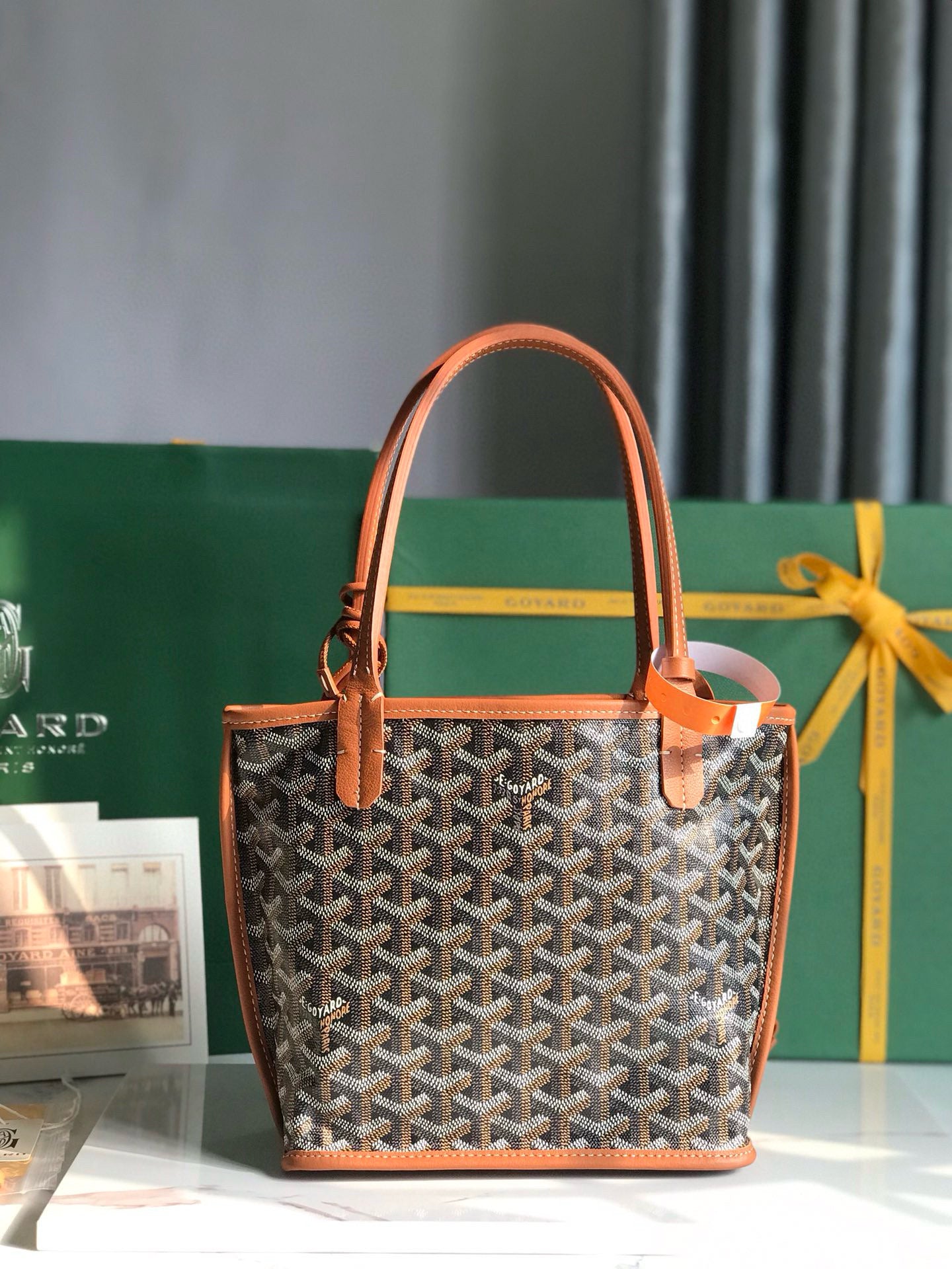 GOYARD ANJOU MINI 20*10*20