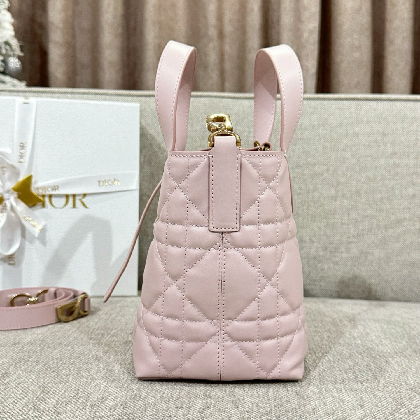 Dior Toujours Mini Bag