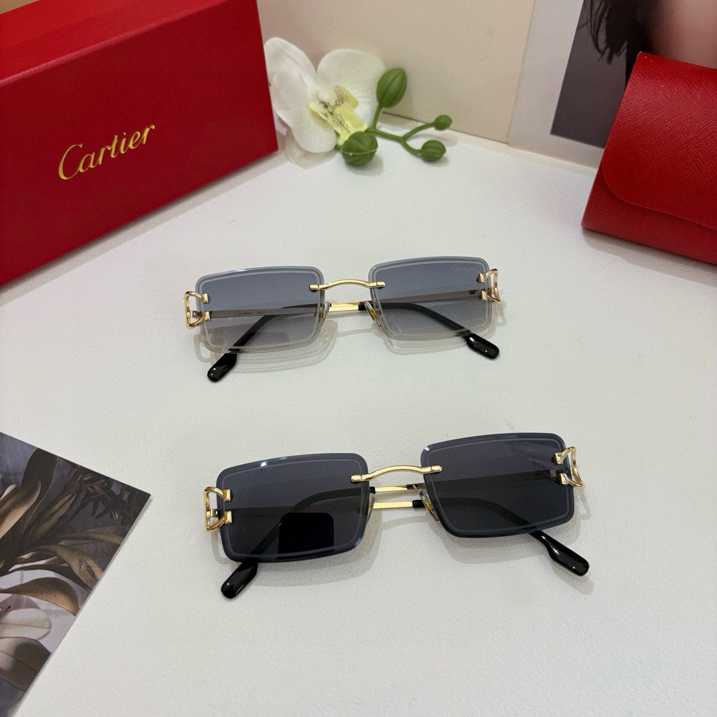 Cartier Sunglasses