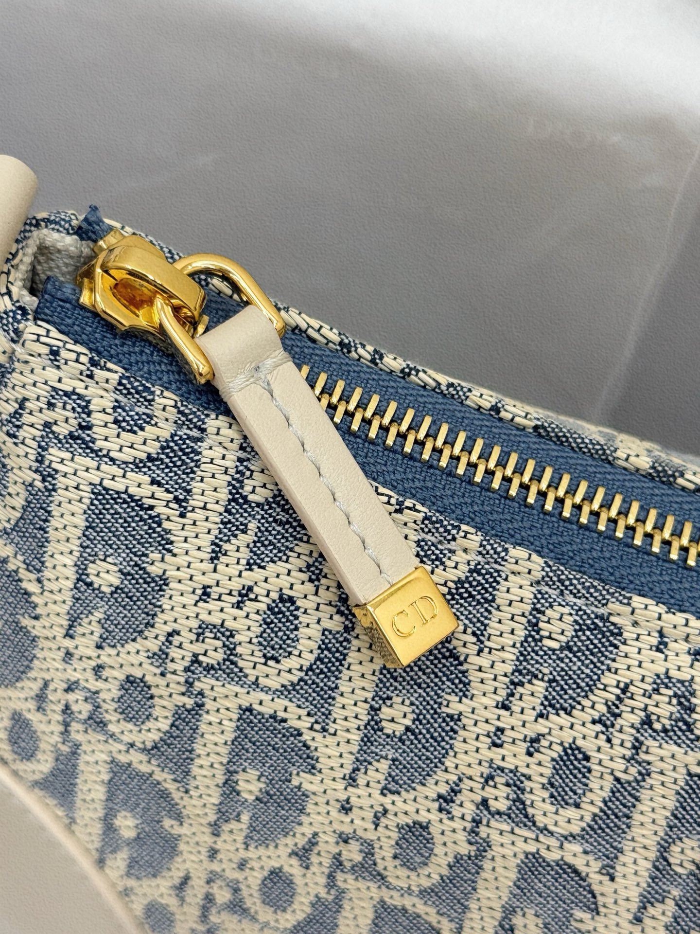 Dior Hobo Bag