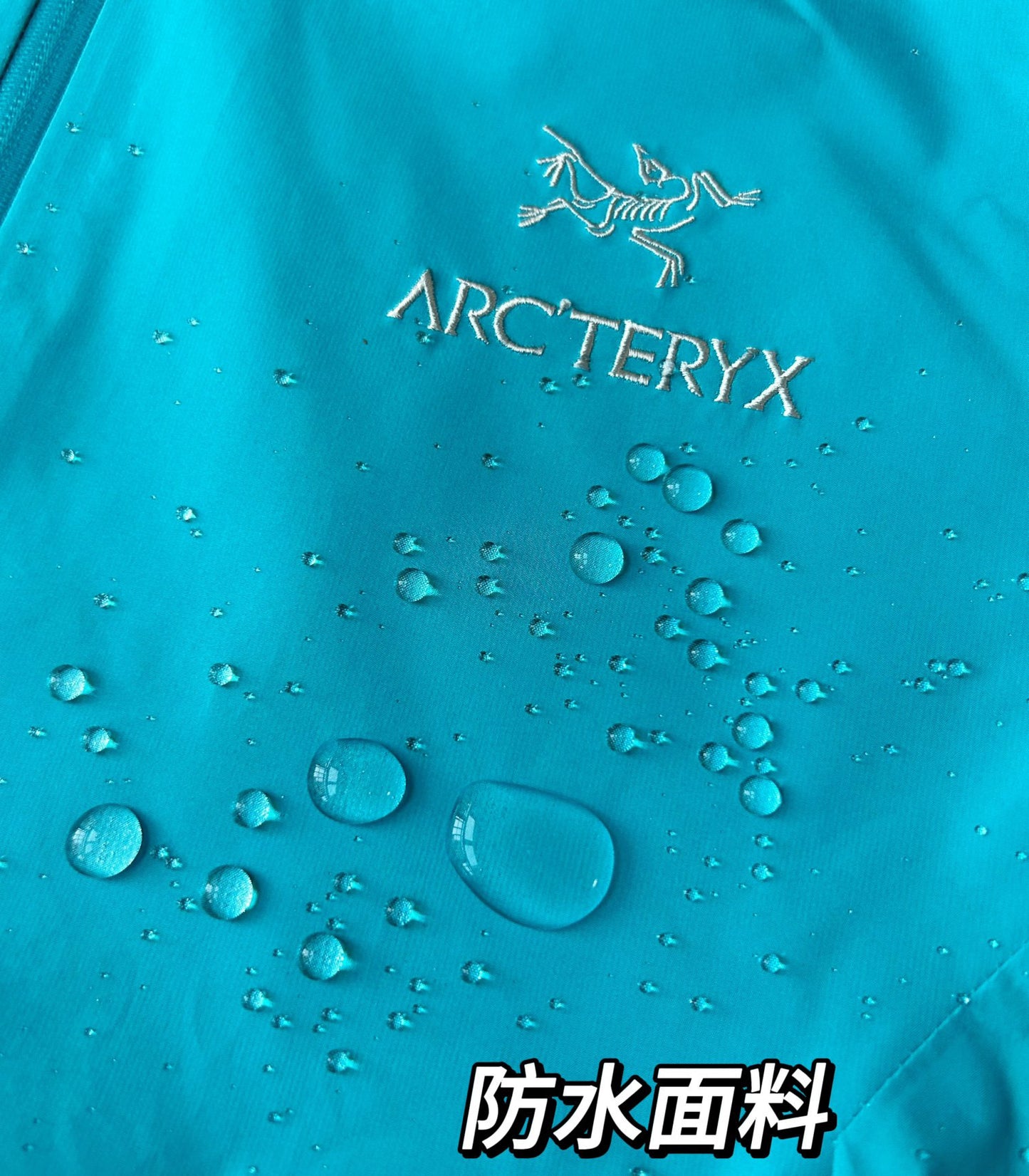 Arcteryx Jacket