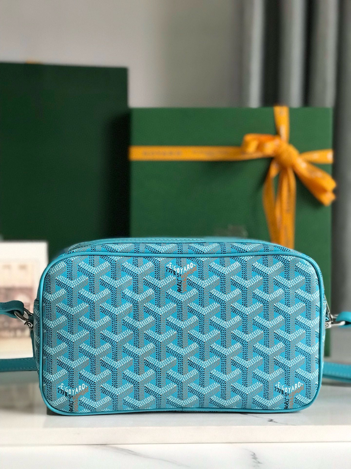 GOYARD CAP-VERT PM BAG