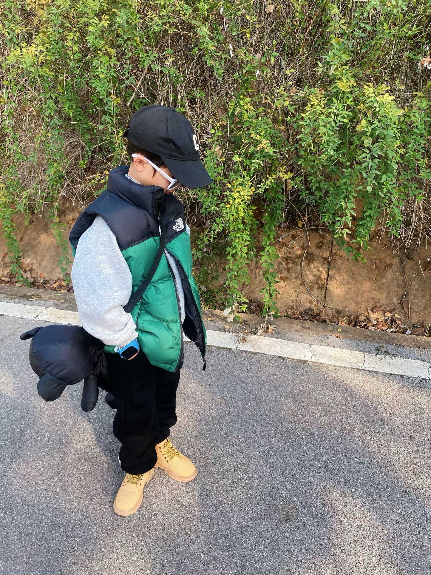 The North Face Insulated Vest Jacket