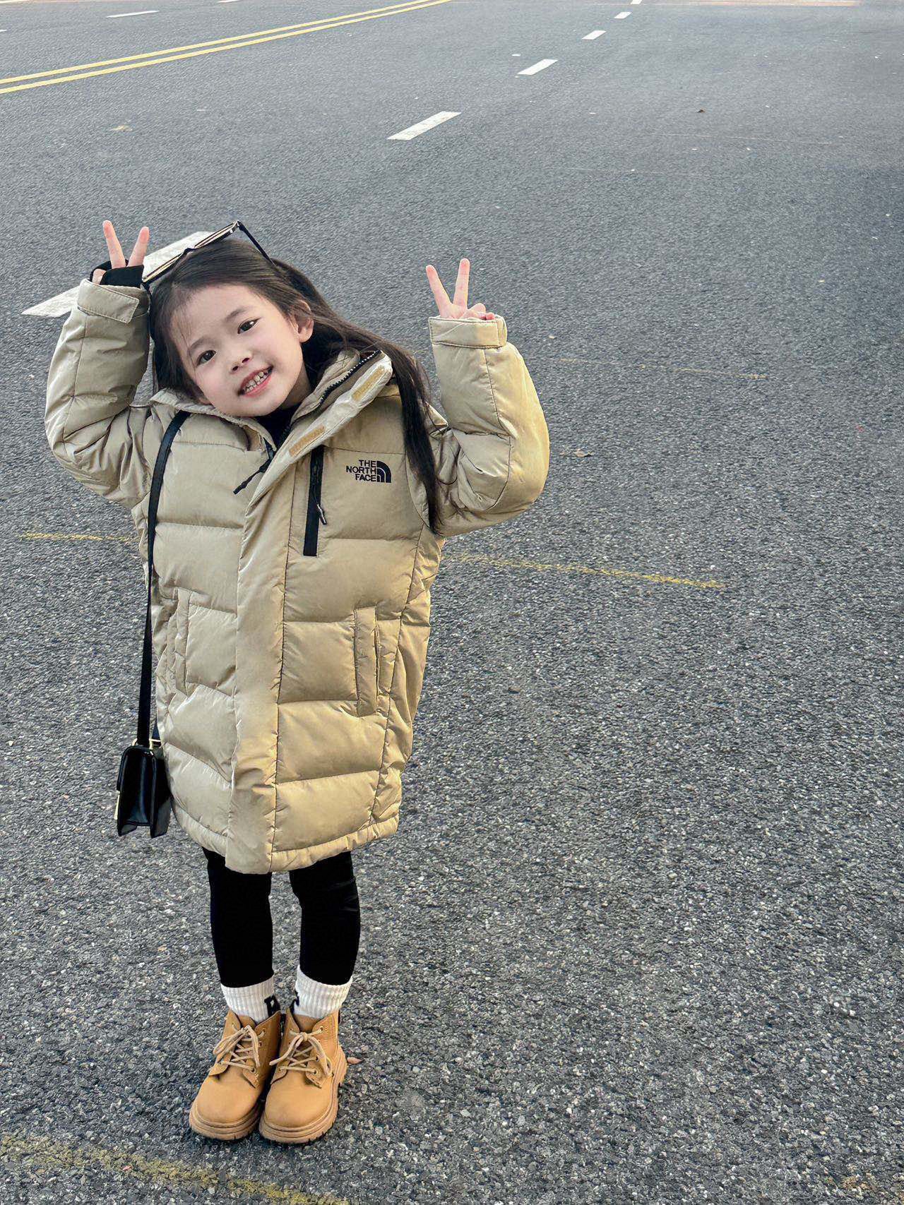 The North Face Down Jacket