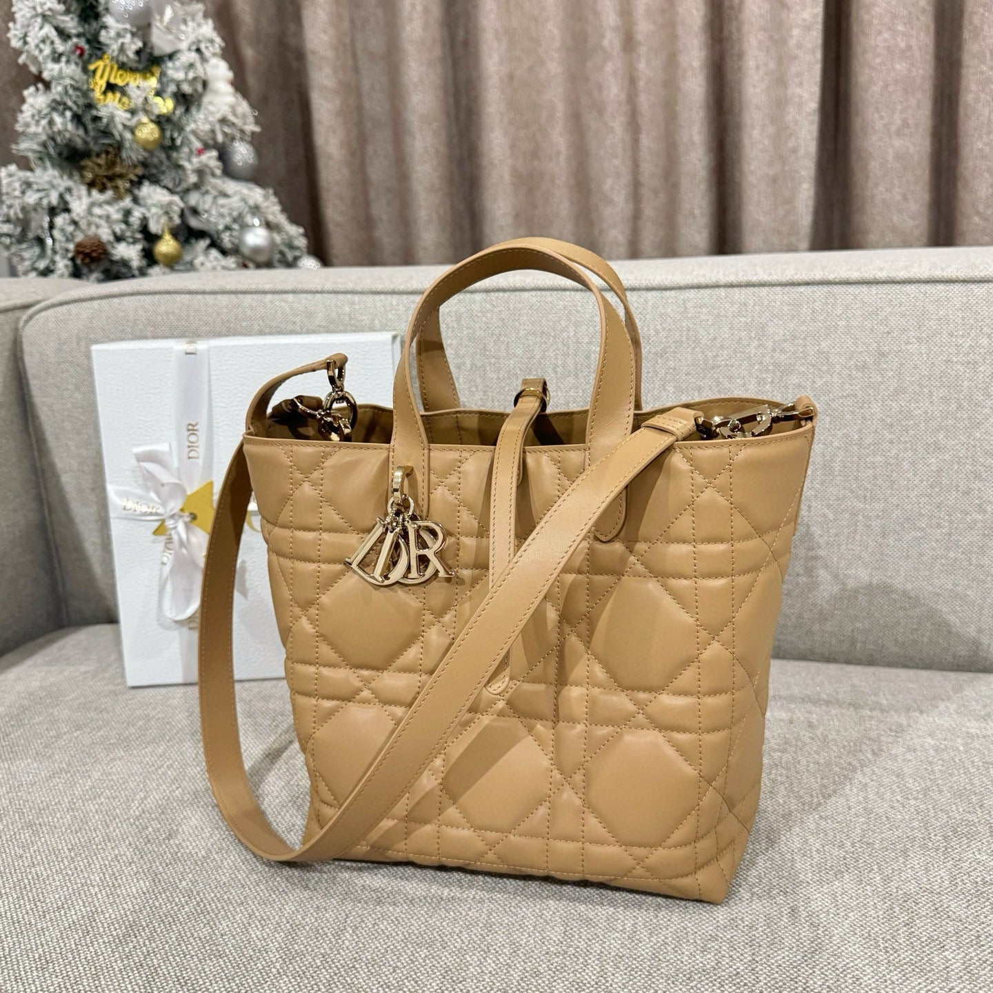 Dior Toujours Bag