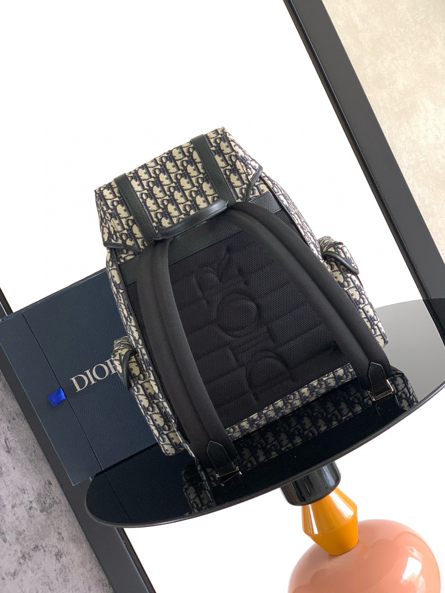 Dior Backpack