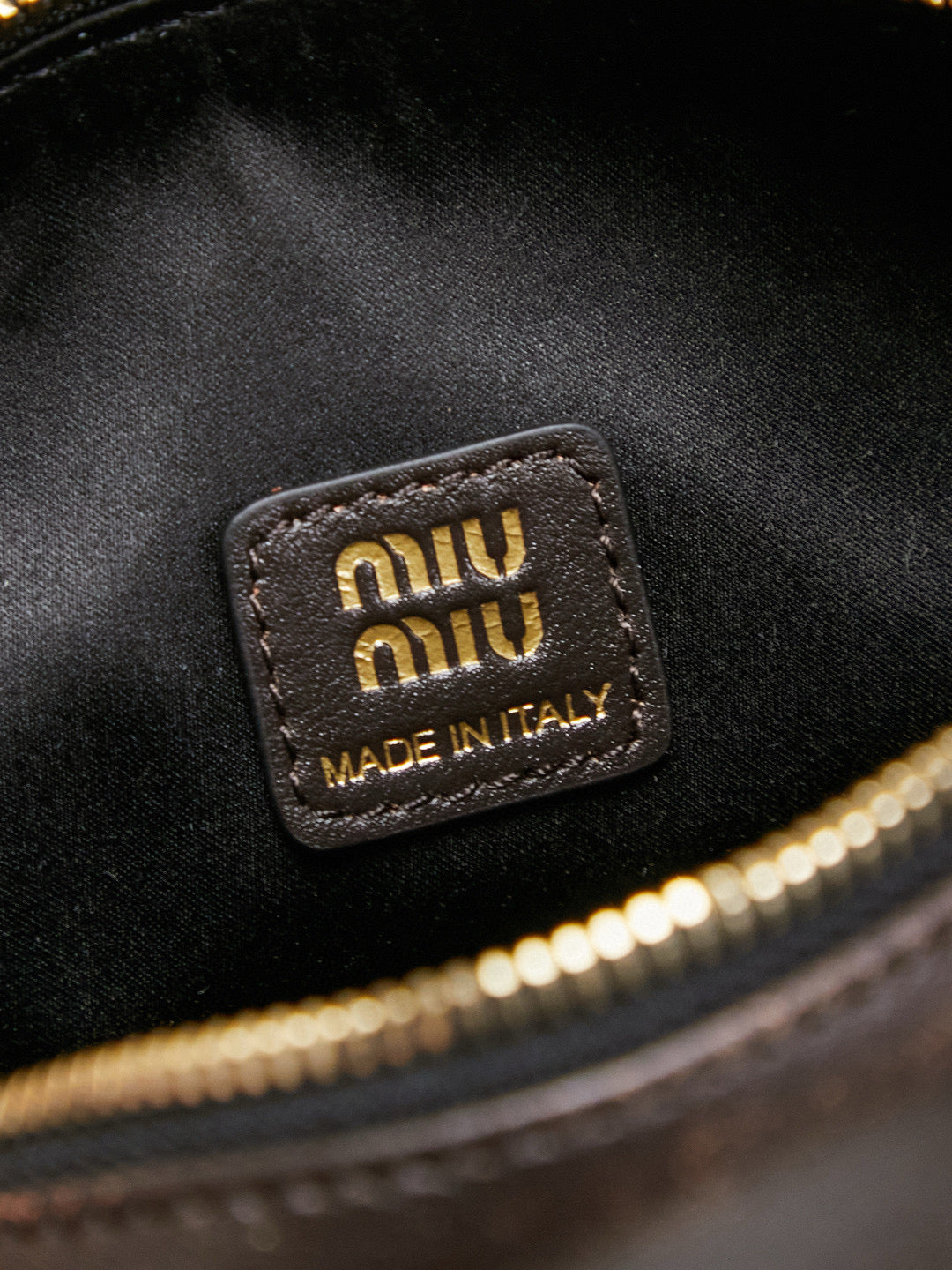 Miu Miu Hobo Bag