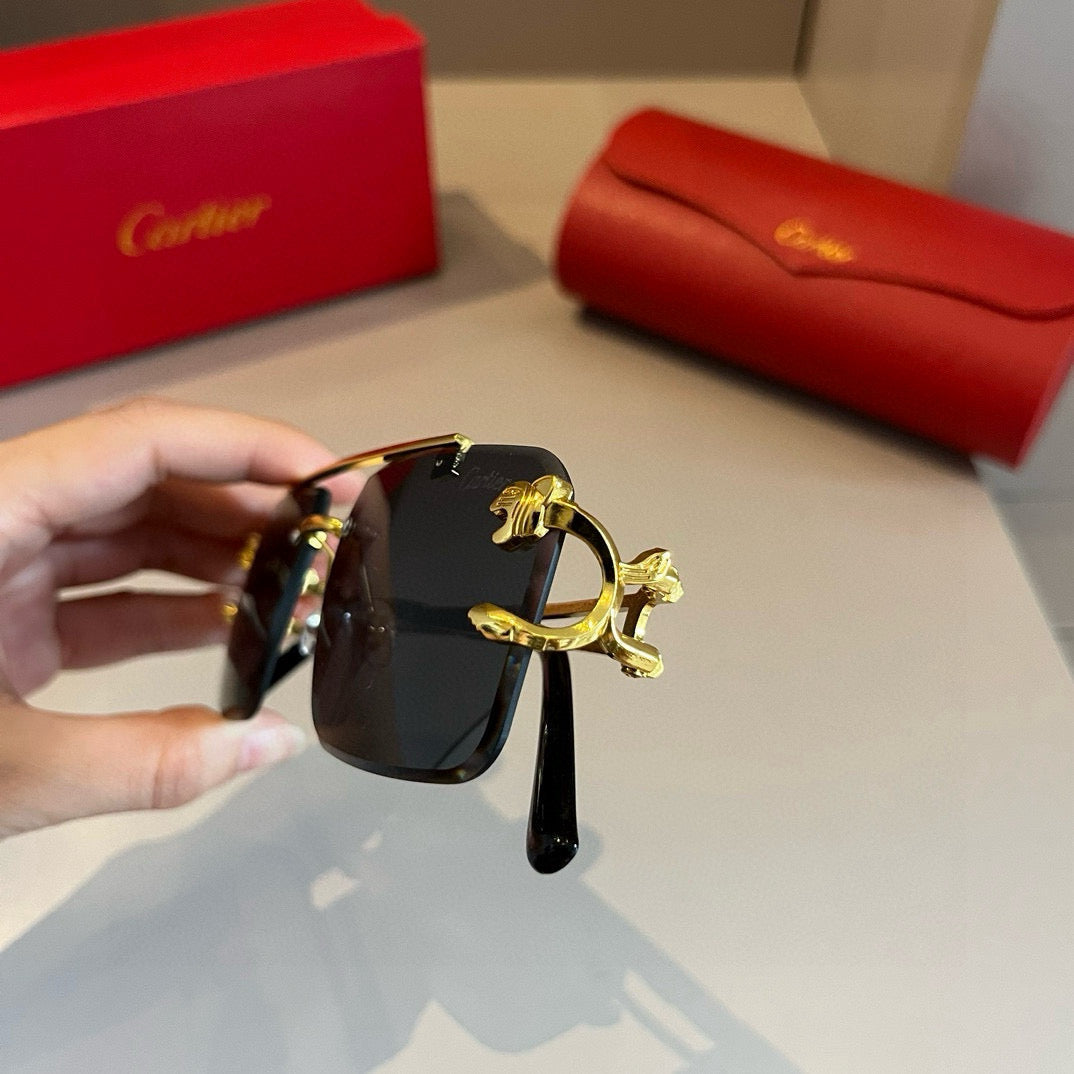 Cartier Sunglasses