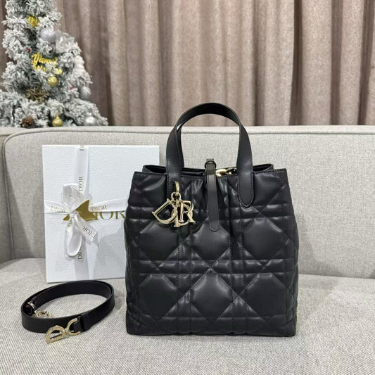 Dior Toujours Mini Bag
