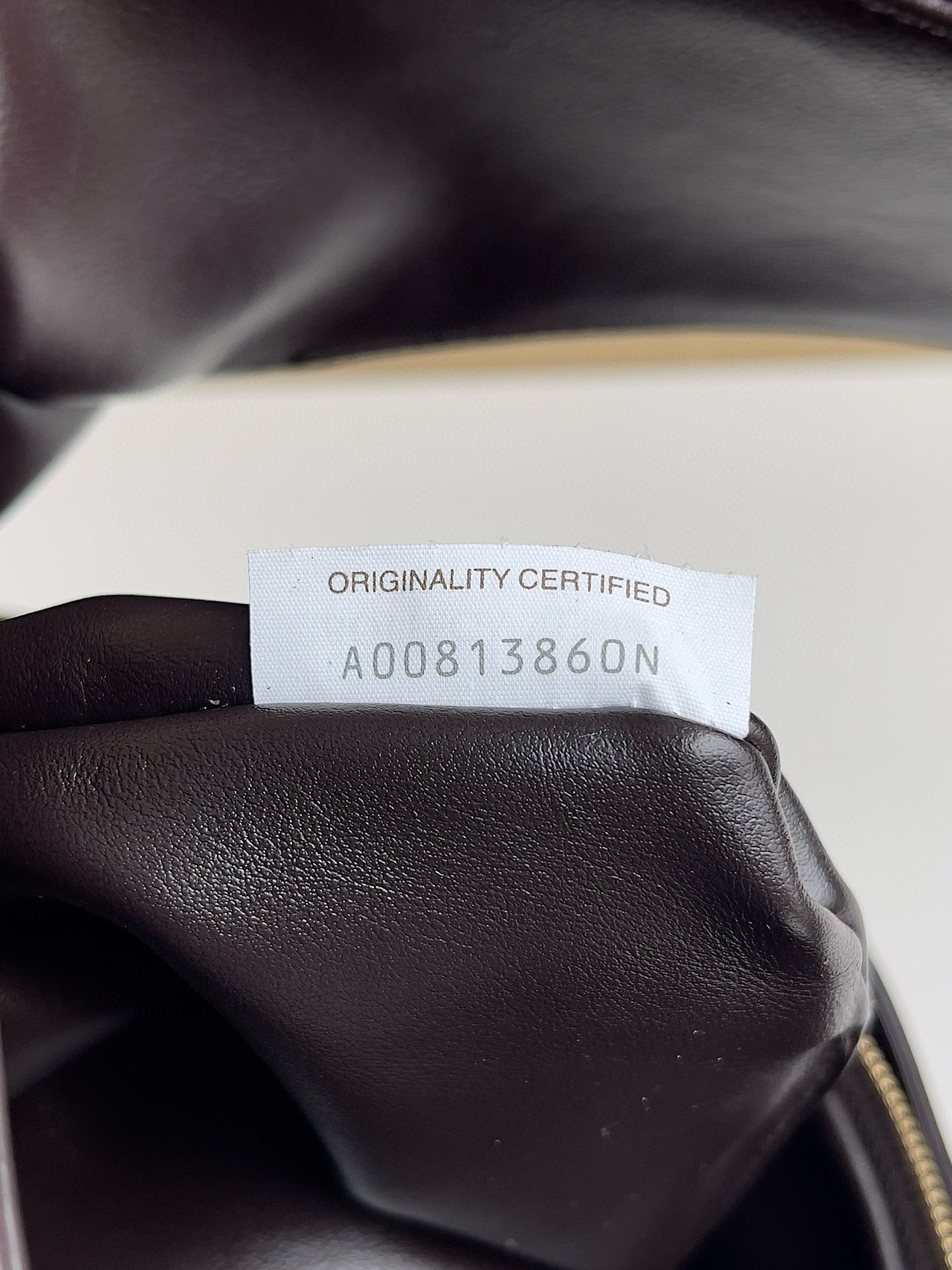 Bottega Veneta Hobo Bag