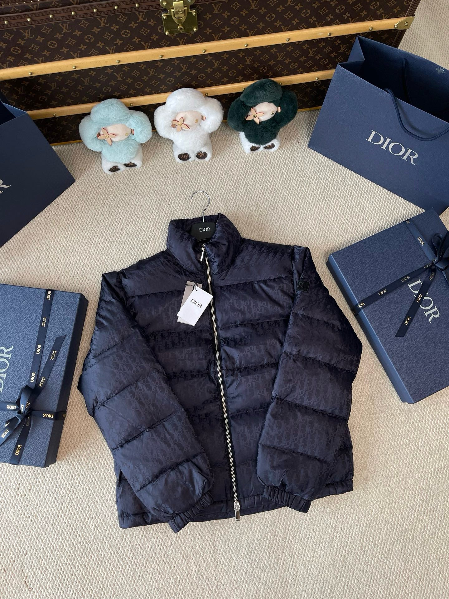 Dior Down Jacket
