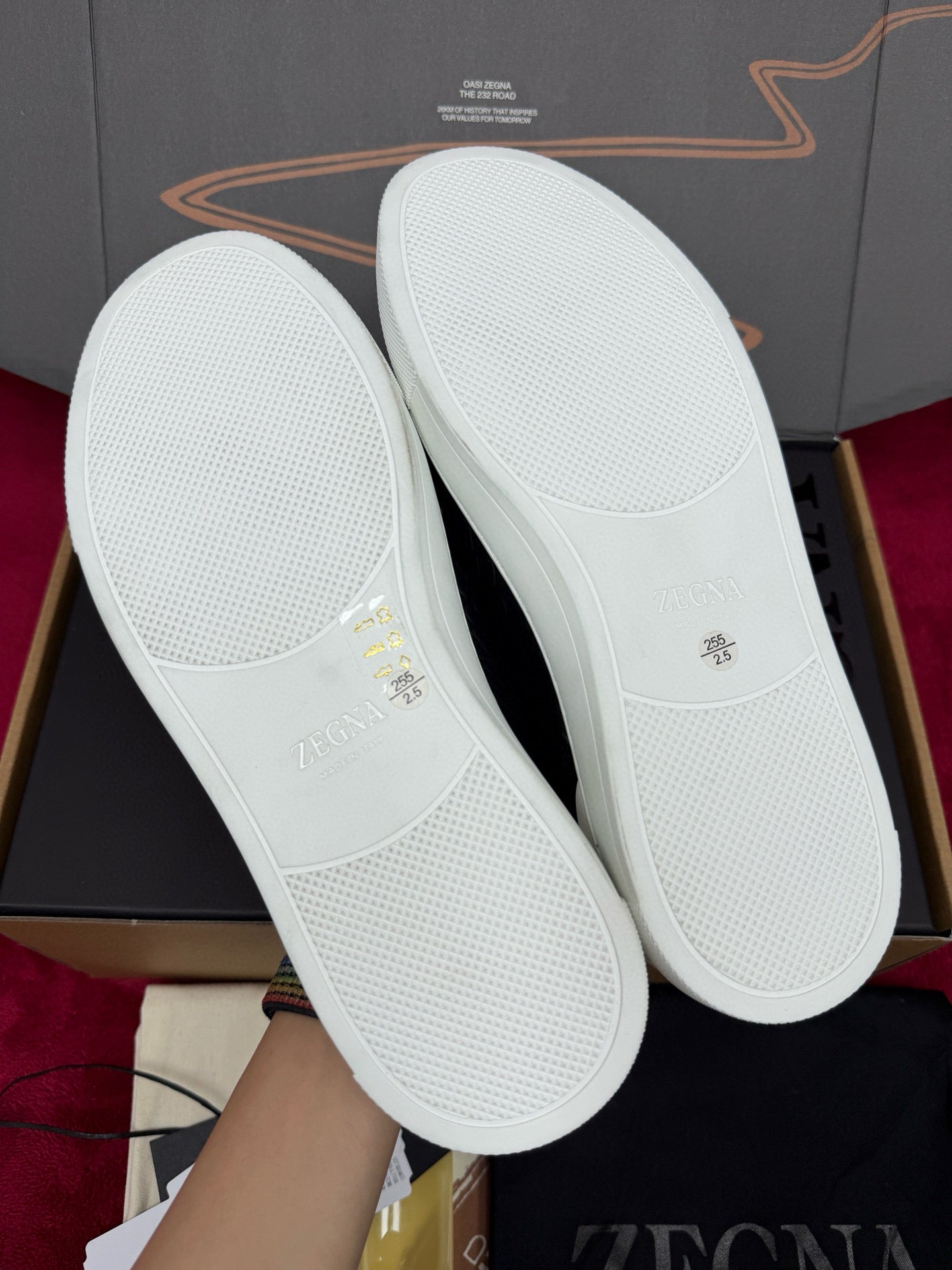 Zegna Alligator Sneakers