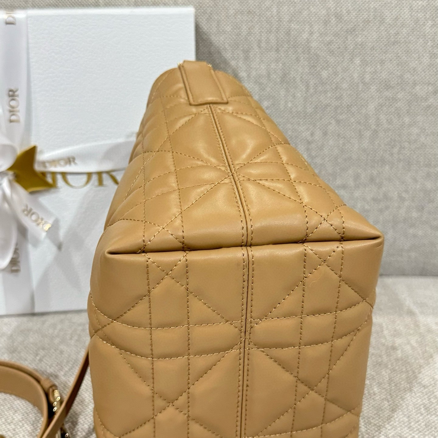 Dior Toujours Bag