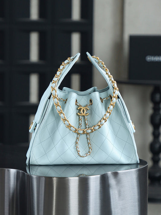 Chanel Hobo 25Bag (small)