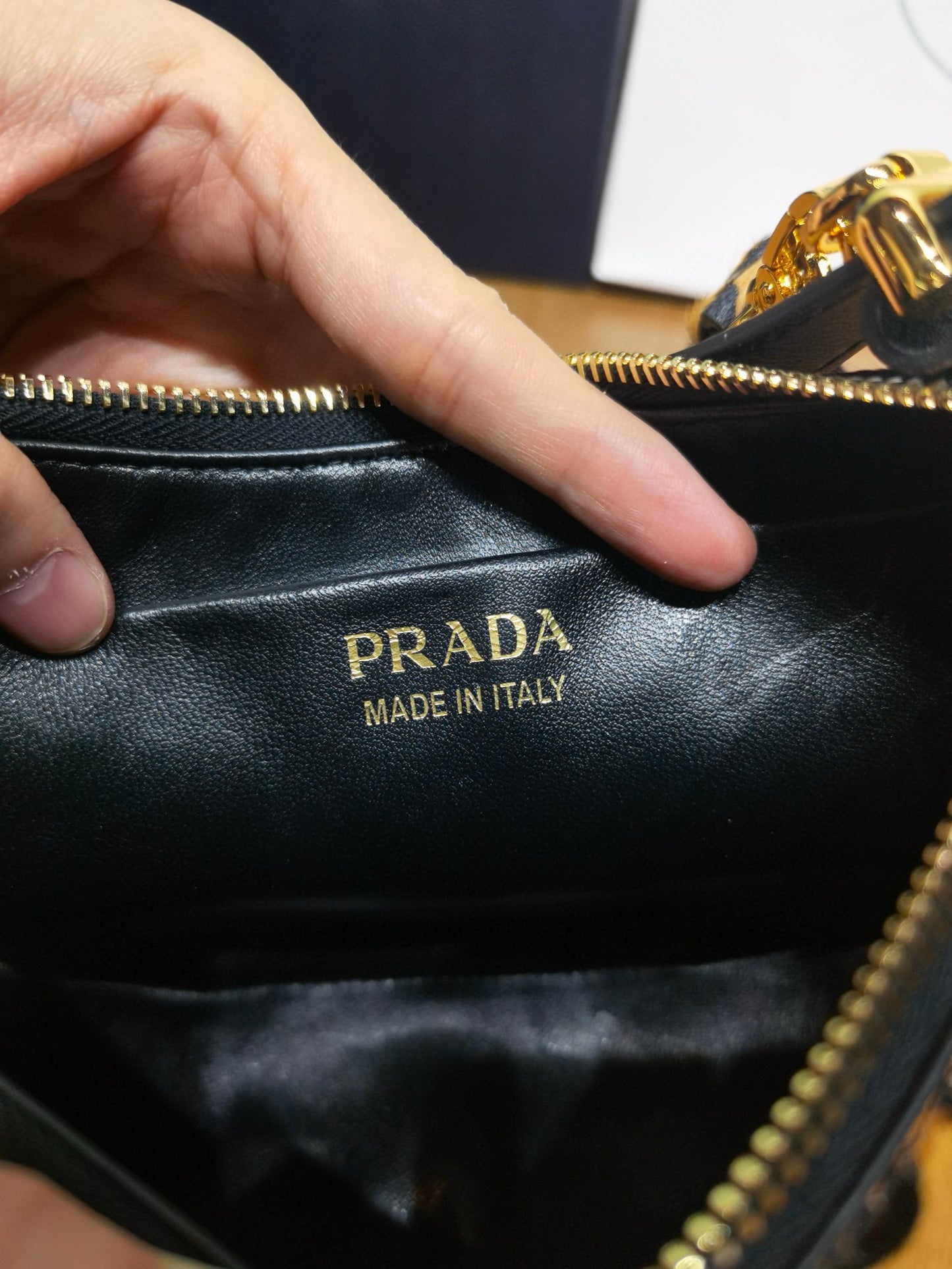 Prada Arque Moon Bag