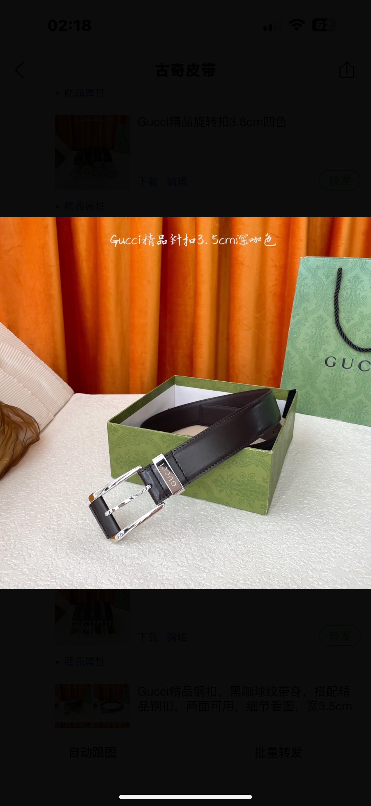 Gucci Belts