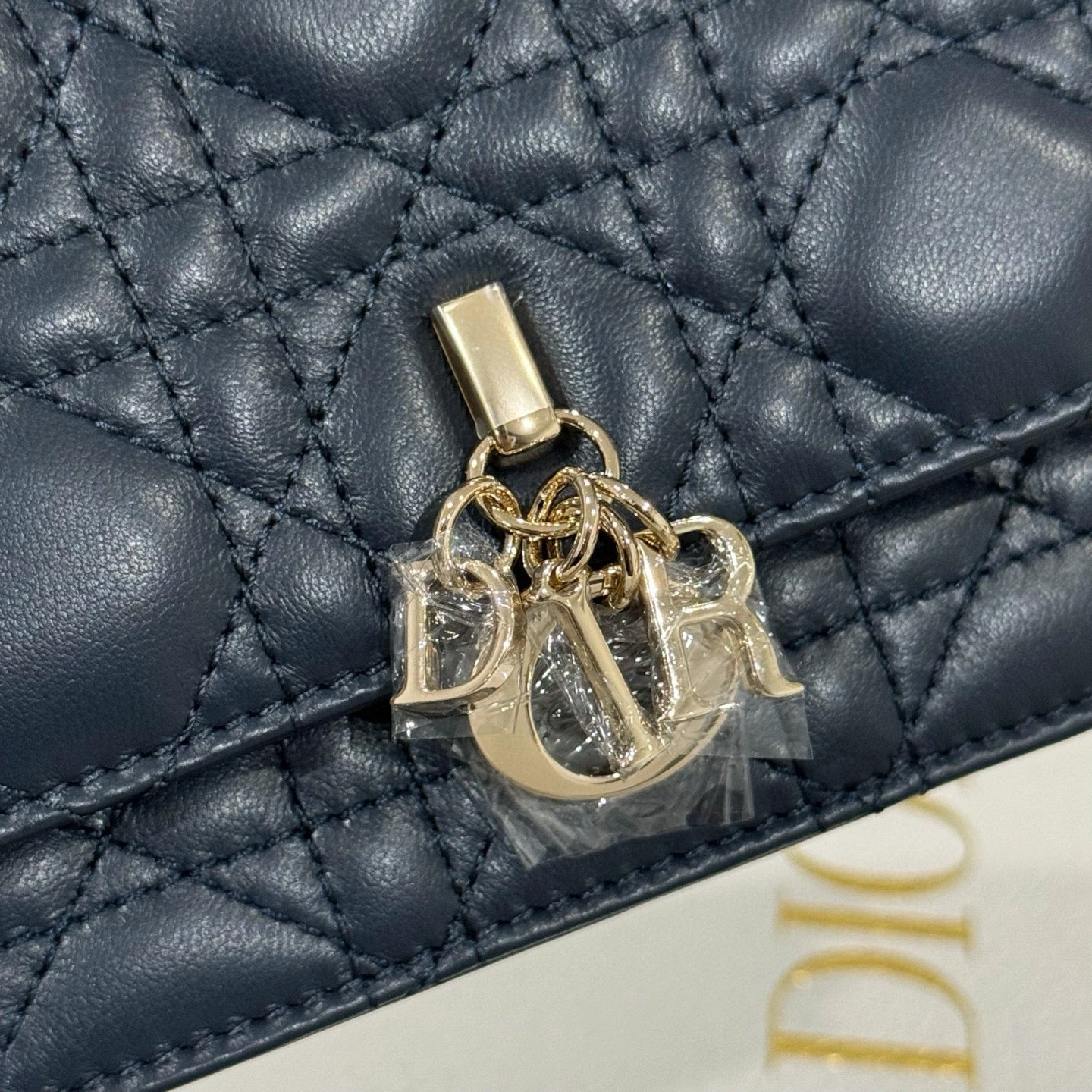 Dior WOC