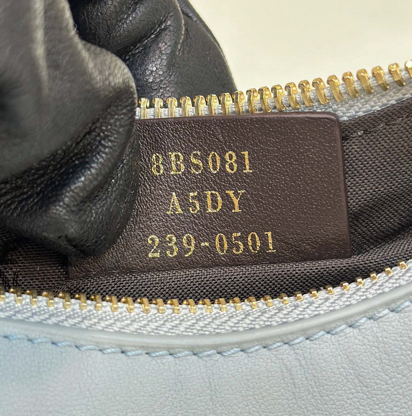 Fendi Fendigraphy Mini