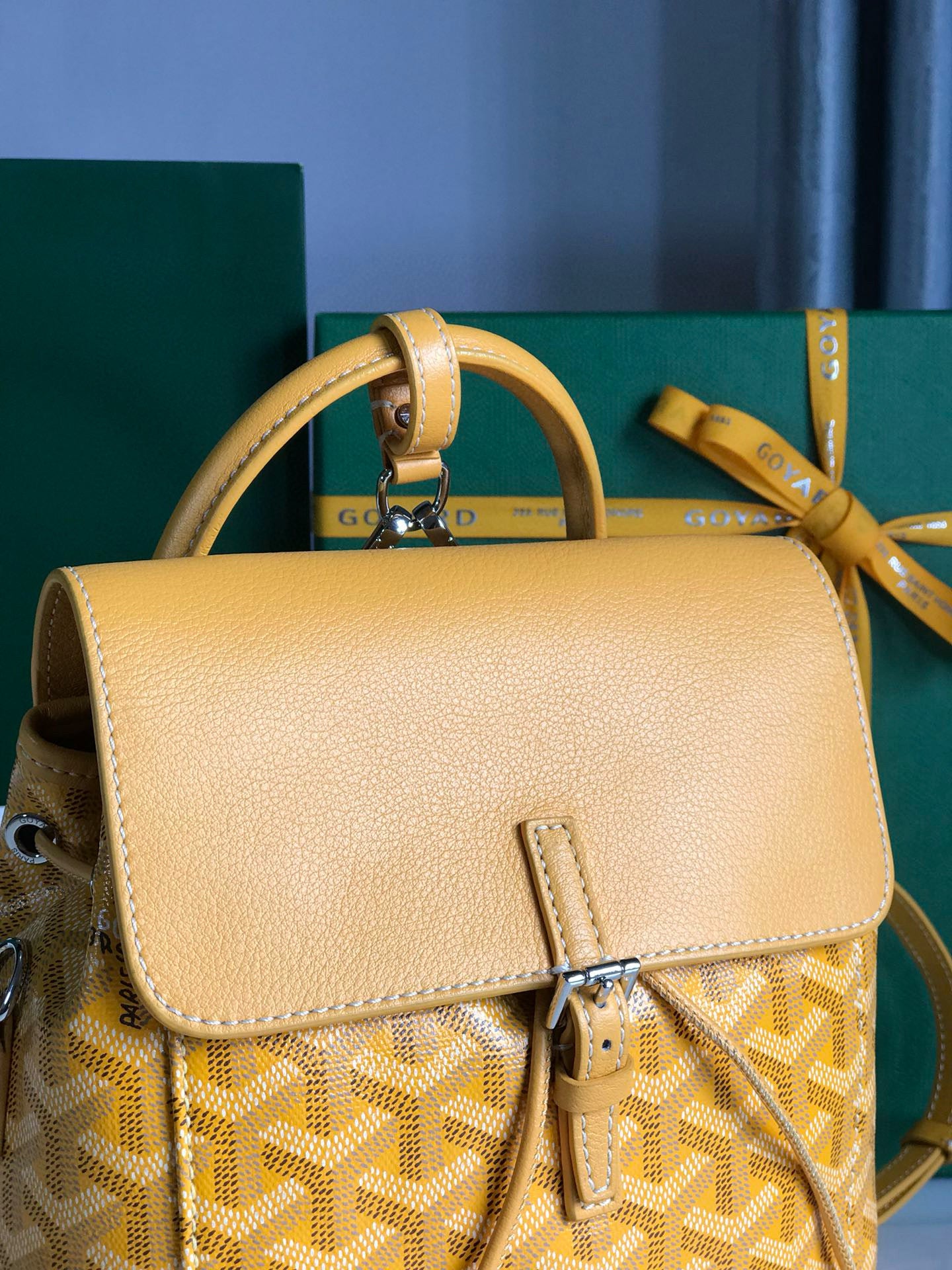 Goyard Mini Alpin Backpack