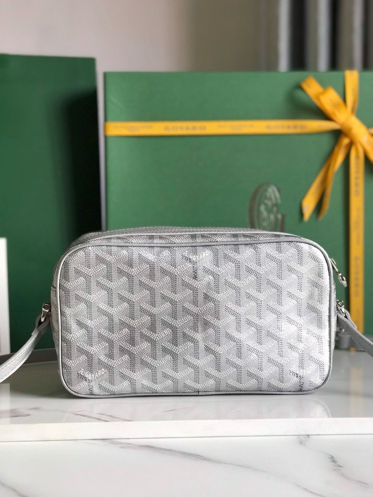 GOYARD CAP-VERT PM BAG