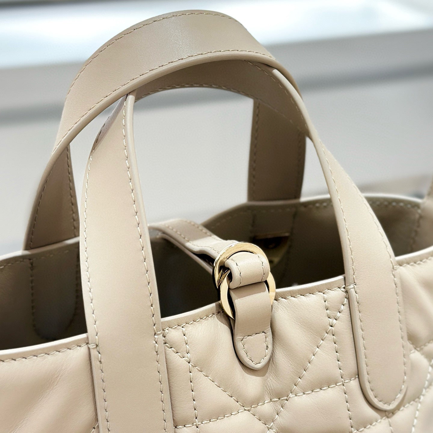 Dior Toujours Mini Bag