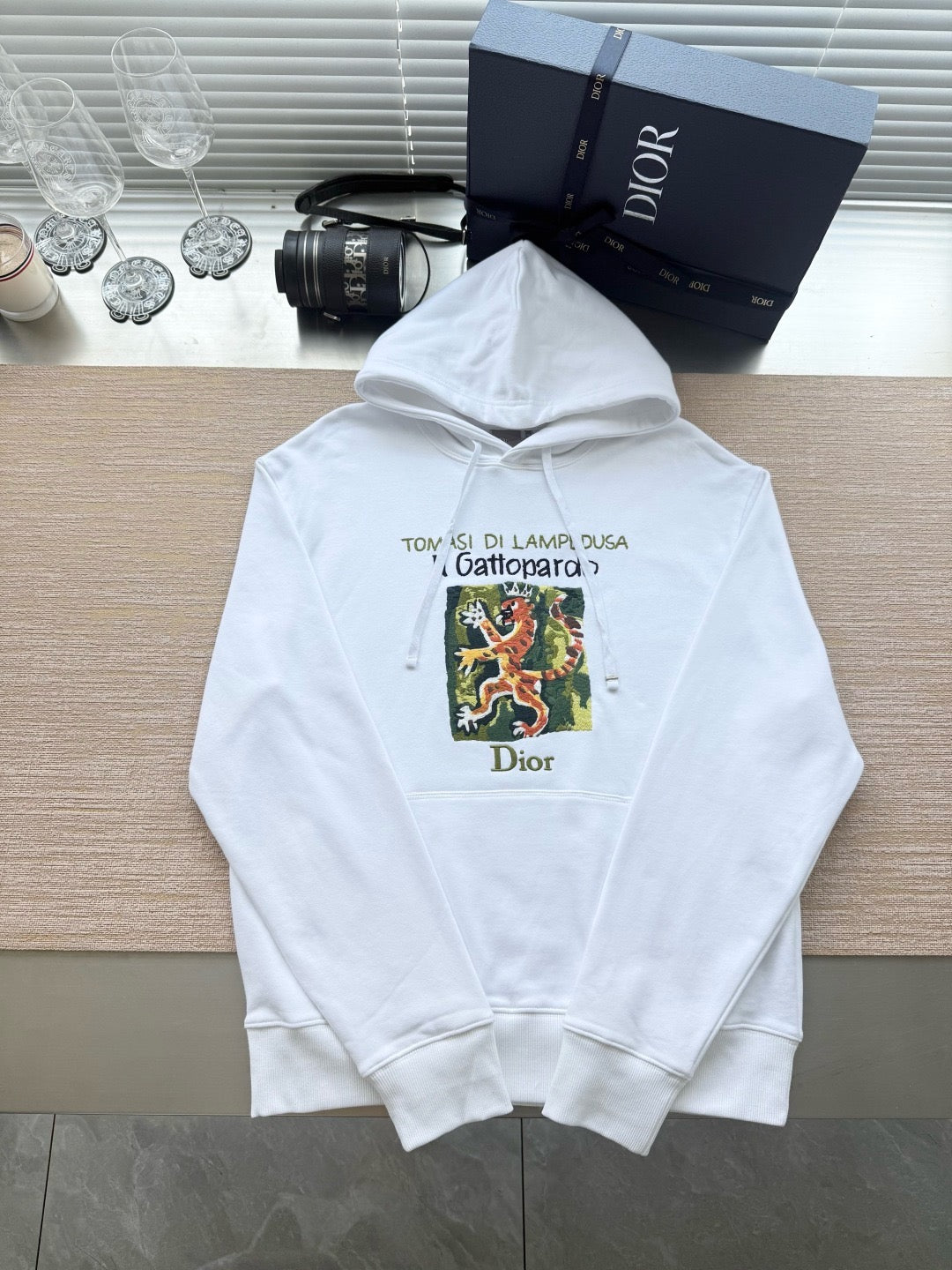 Dior Hoodie