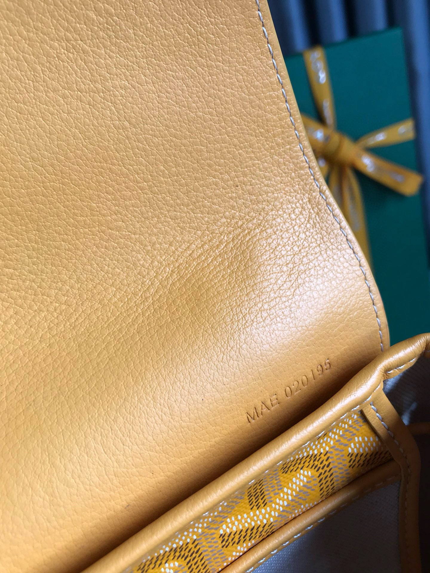 Goyard Mini Alpin Backpack