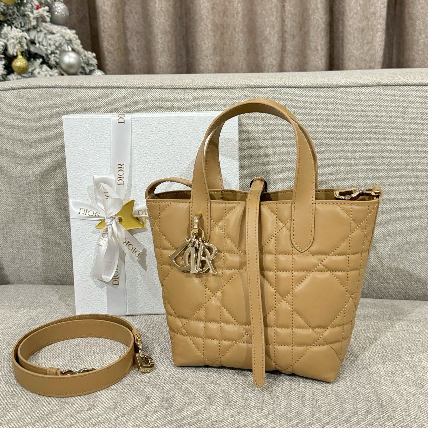 Dior Toujours Bag