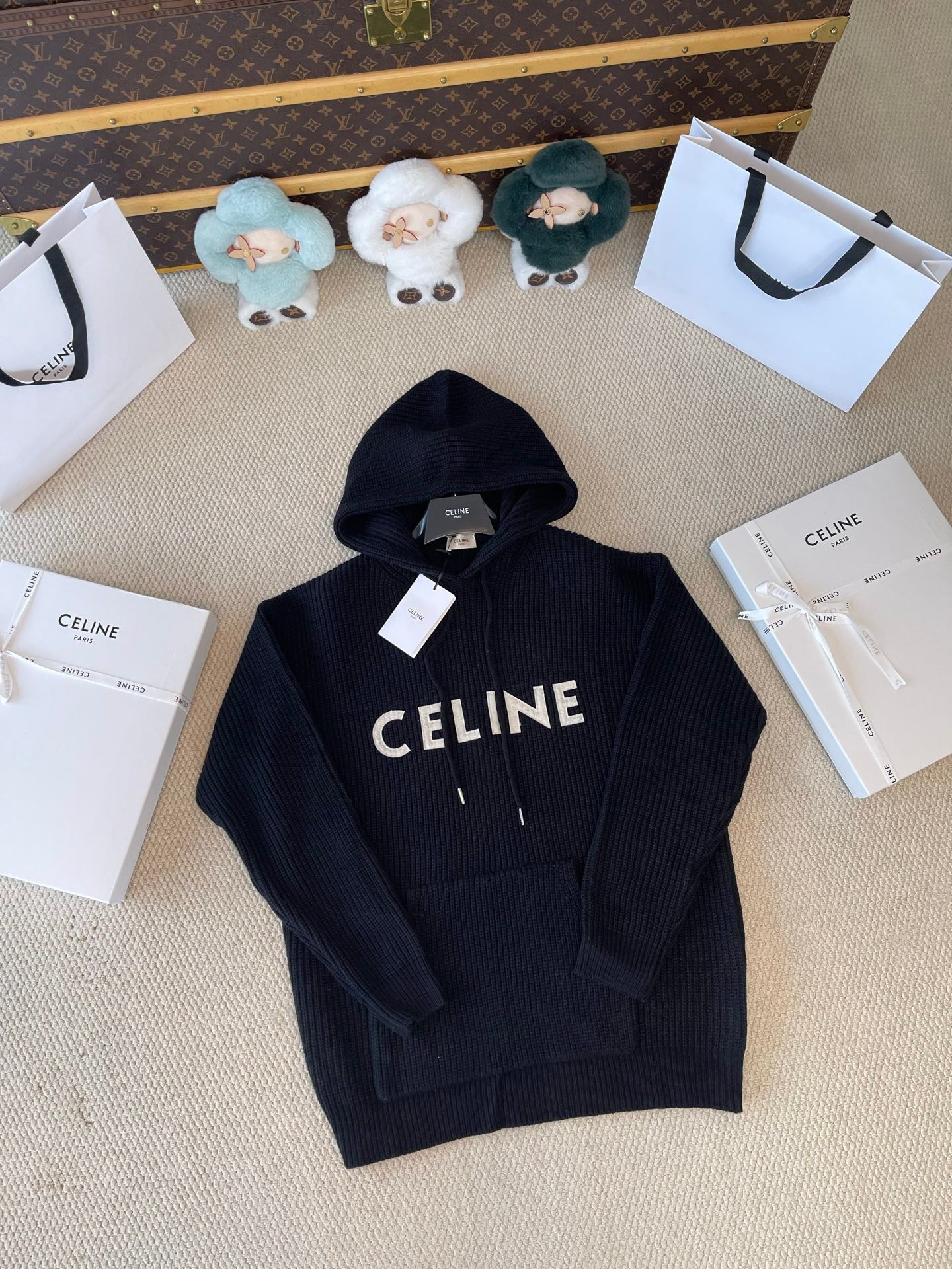 Celine Hoodie