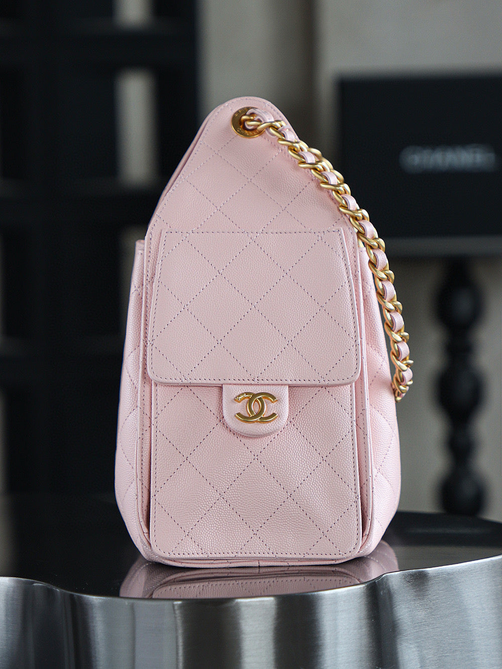 Chanel Hobo 25Bag (small)