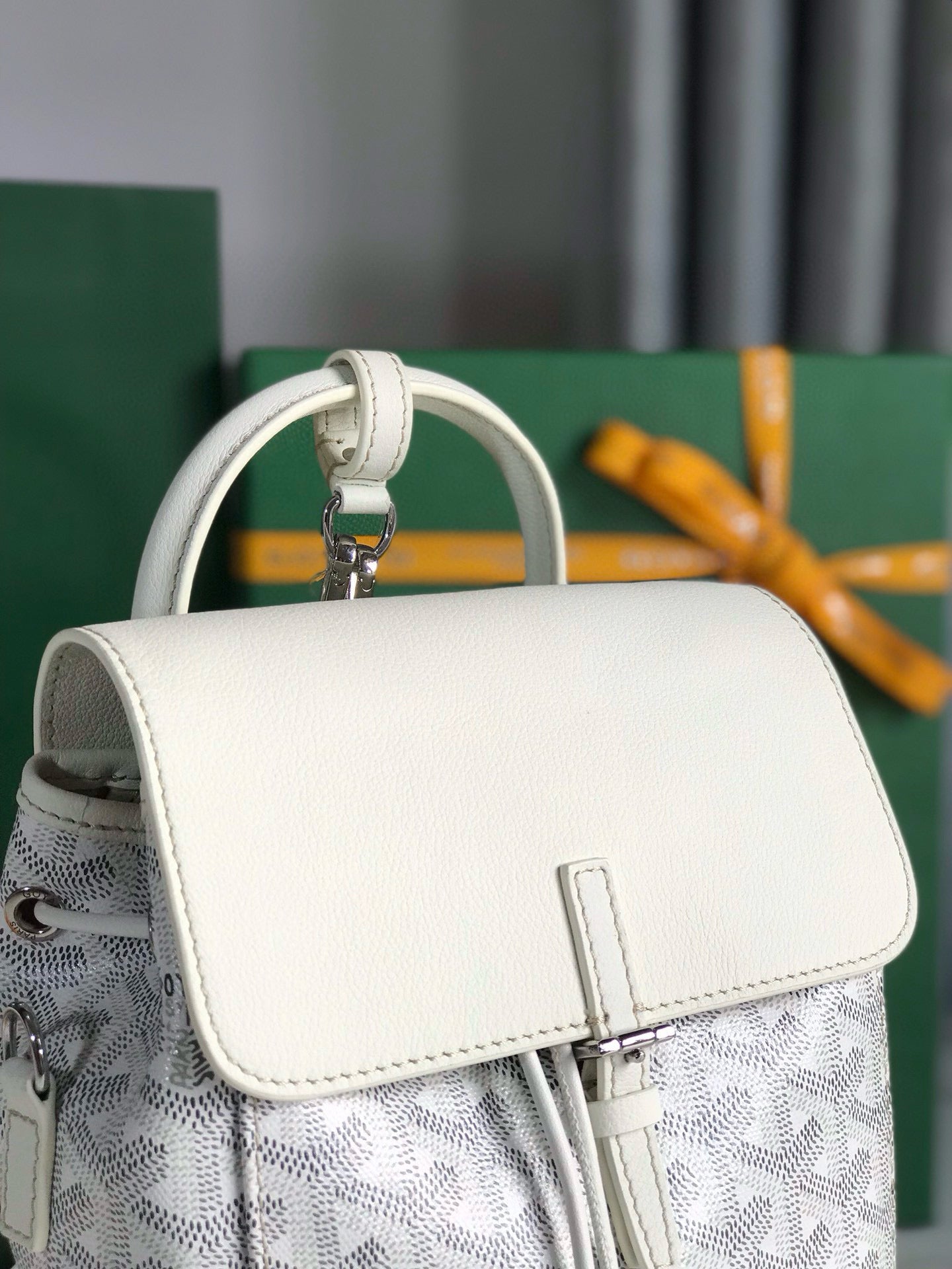 Goyard Mini Alpin Backpack