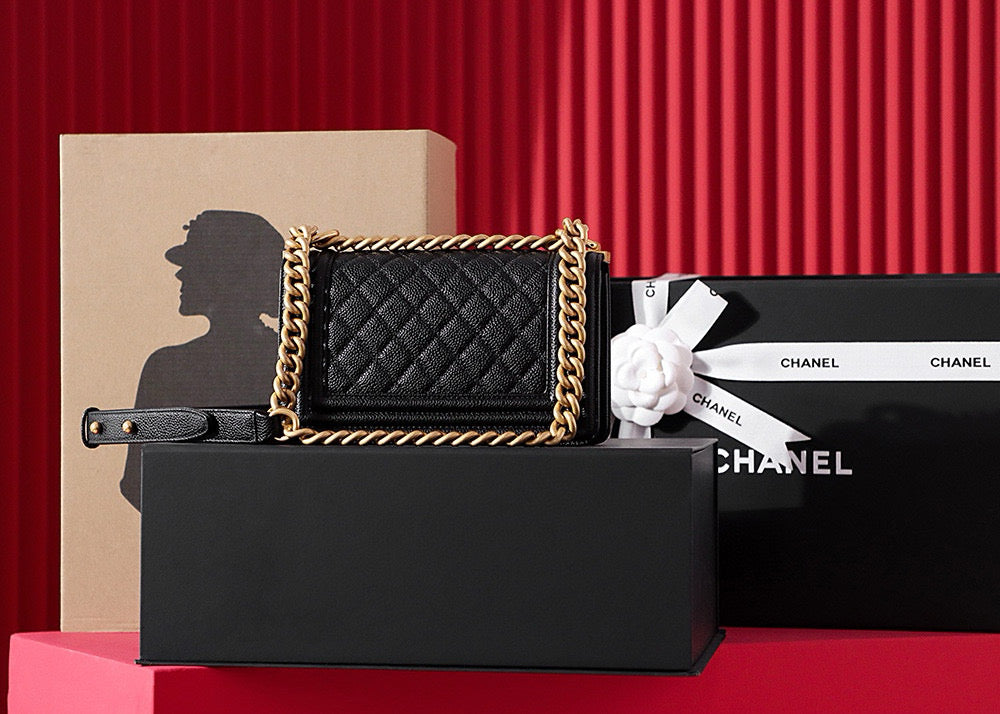 Chanel Leboy Bag (small)